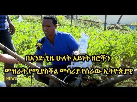 ቪዲዮ: ዘሮችን መዝራት እና የኩምበር ቡቃያዎችን ማደግ