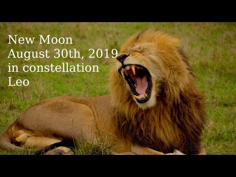 new-moon-august-30th-2019-in-constellation-leo---true-sidereal-astrology
