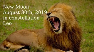 New Moon August 30th 2019 in constellation Leo - true sidereal astrology