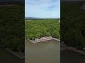 Wisata Mangrove Pancer Karangantu Serang  #wisatamangrove #pancerserang #droneview ##shorts