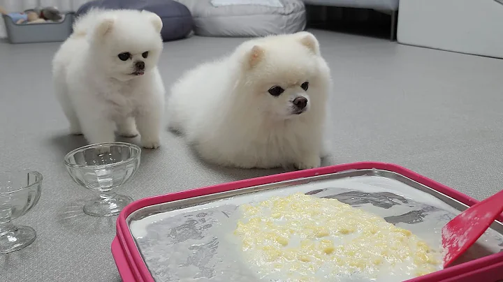I made rolled ice cream for the puppies who are si...