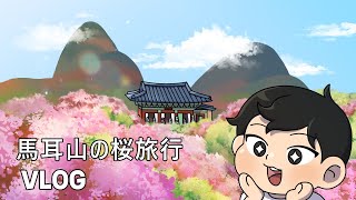 桜と共にするマイ山旅行 | 春の花道を歩く 🌸 V-LOG