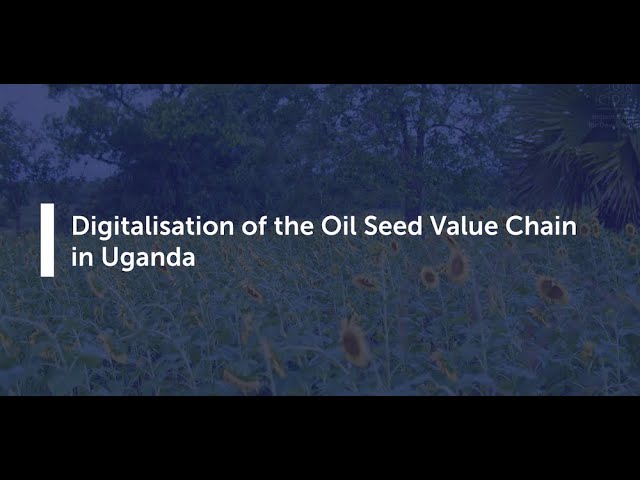 The FAO Investment Centre, IFAD, and UNCDF are collaborating with the Ministry of Agriculture, An...