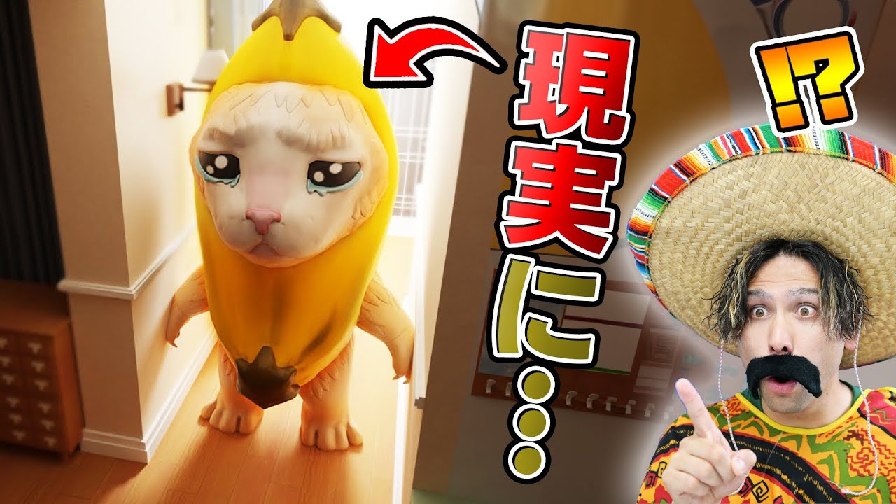 現実世界にバナナ猫が大量発生！？【banana cat】【GMOD】 - YouTube