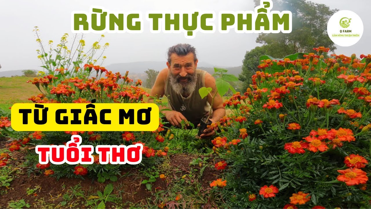 RỪNG THỰC PHẨM: Hành Trình Tôi Lên Kế Hoạch, Gieo Trồng & Bảo Vệ