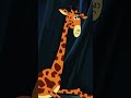 The Story of the Sick Giraffe Part 1