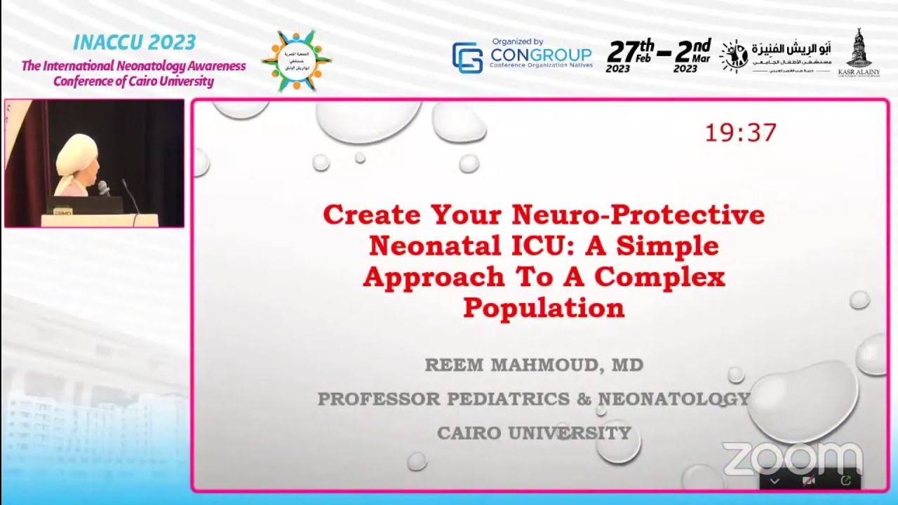 Create Your Neuro-Protective Neonatal ICU: Simple Approach to A complex population Prof Reem Mahmood