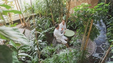 Lithuania: Co-create well-being experiences