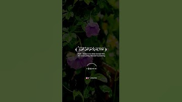 أجمل حالات واتس اب قرأن بصوت القارئ سعود الشريم /#سورة_البقرة #القرآن_الكريم #سعود_الشريم/#quran