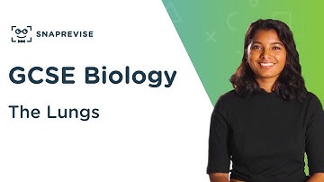 The Lungs | 9-1 GCSE Science Biology | OCR, AQA, Edexcel