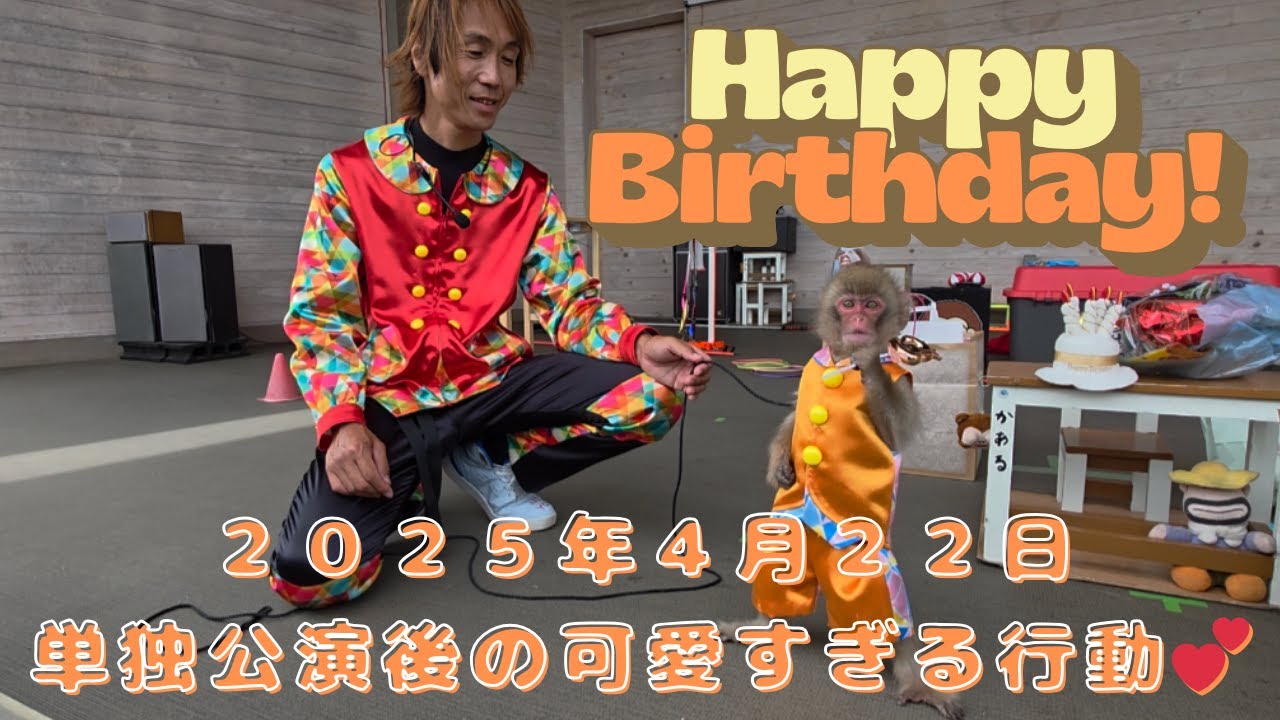 April 22nd, 2025: Introducing a cute scene from Kaaru-kun's