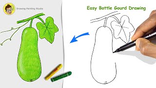 How To Draw Bottle Gourd Step By Step For Beginners Easy Bottle Gourd Vegetable Drawing