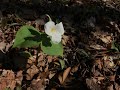 A hike with Nancy Stranahan