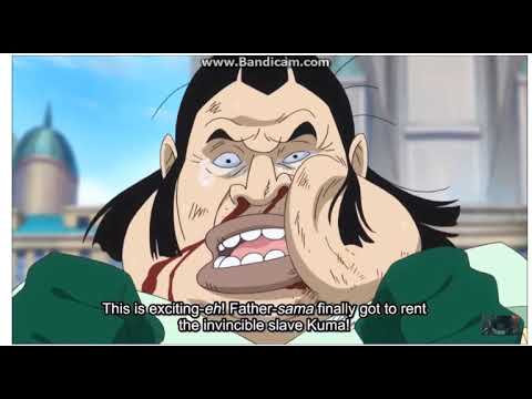 One Piece Kuma Becomes A Slave Youtube