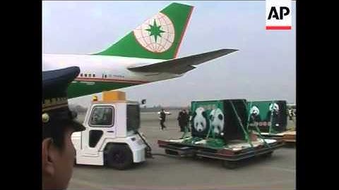 A pair of giant pandas arrived in Taiwan on Tuesday as a gift from rival China, another symbolic ste