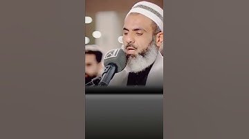 القارئ عمر عبدالله (مؤثر)