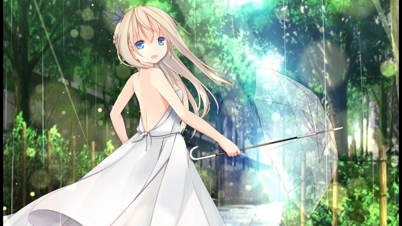 アニメ NOCTURNAL LANDSCAPE Foxtail-Grass Studio アニメ NOCTURNAL LANDSCAPE Foxtail-Grass Studio Nocturnal