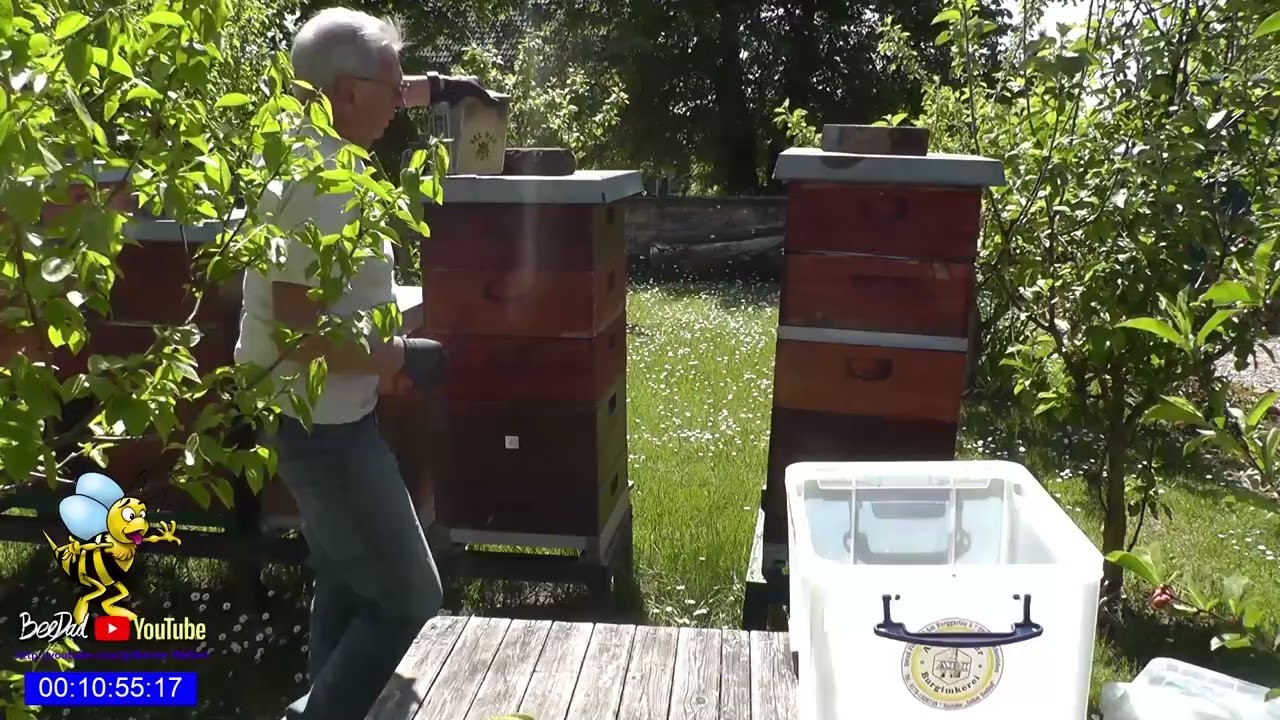 Erste Honigernte 06.05.2025 #Imkerei, #Bienen und #Natur 2025