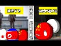 【ポーランドボール】日本と中国が北朝鮮に観光！？何故か脱北しようとする…