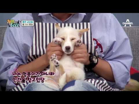 [선공개] 아이오아이, 100만 뷰를 향한 무리수 오디션