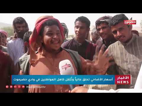 ارتفاع أسعار الأضاحي يلقي بظلاله على عيد الأضحى في حضرموت