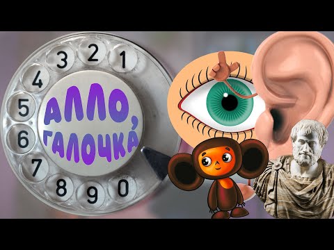 Алло, Галочка? #7(24)