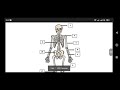 MAPA - Anatomia Aplicada a Educação Física. Unicesumar. (69) 9 9212-5985