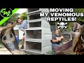 MOVING MY VENOMOUS REPTILES!!!