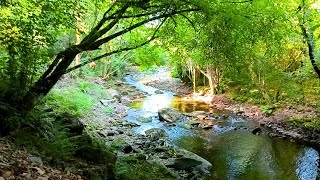 🇪🇸 🌳 Outes (Río Tins) (Tráiler) #Senderismo #Galicia #España