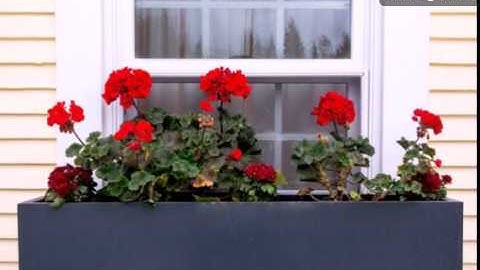 Cute DIY Window Box Planters