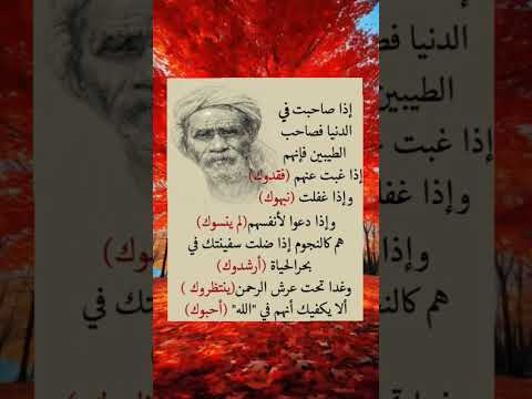 إذا صاحبت في الدنيا فصاحب الطيبين حالات واتس خواطر عبارات روائع حكمة Shorts Story ستوريات علم النفس