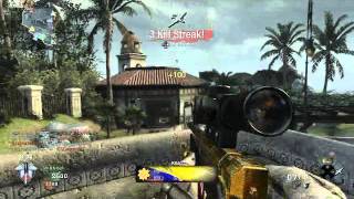 P-Man316 - Black Ops L96 Beasting 3 Down P