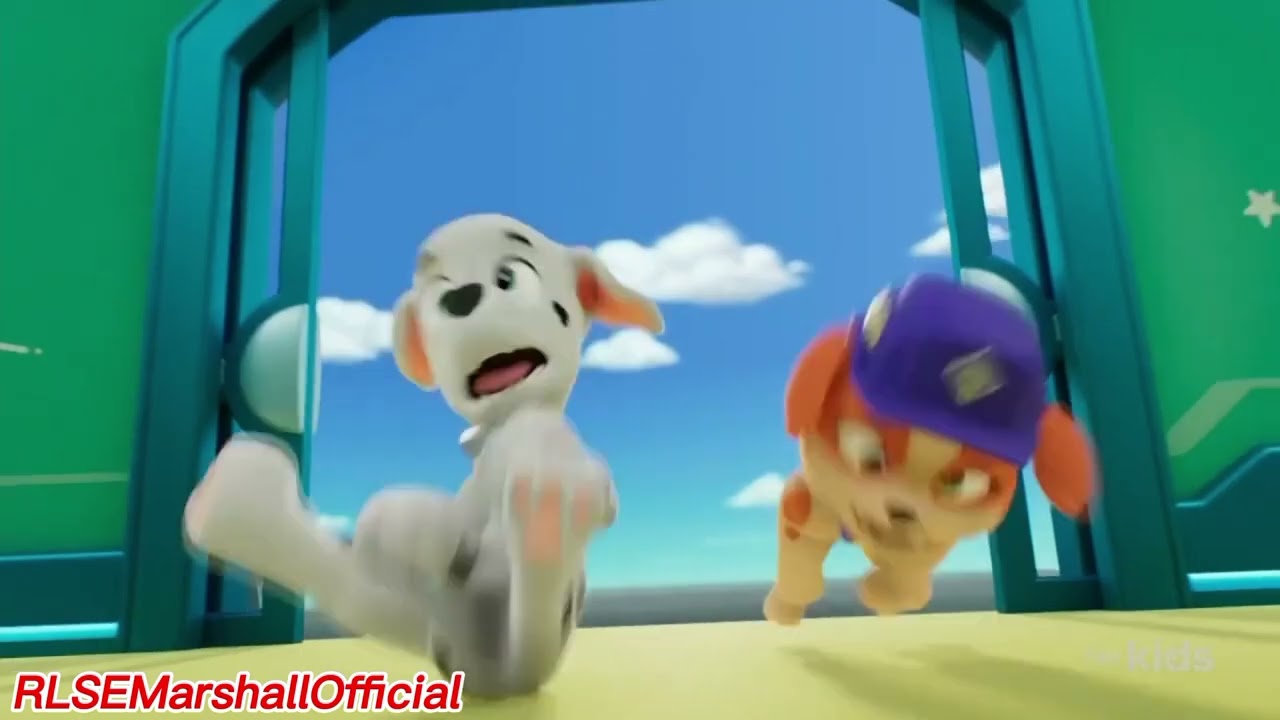 PAW Patrol "Marshall" Wipeout | Pups save the hum-sprayer
