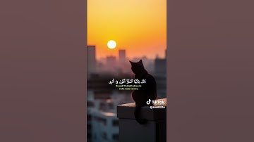 قالت ياايها الملأ اني القي الي كتاب كريم |تلاوة رائعة بصوت الشيخ ياسر الدوسري #المصحف #قرآن #ياسر