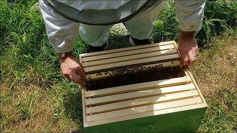 Adding Our Second Deep Hive Box | Transferred Five-Frame Nuc Hive