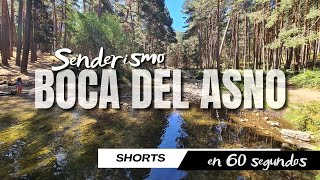Senderismo por La Boca del Asno (Sierra de Guadarrama) - #SHORTS