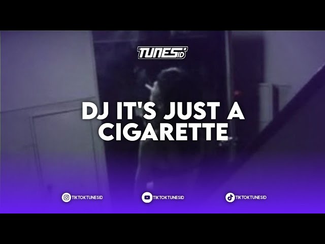 DJ ITS JUST A CIGARETTE, DJ CIGARETTE DUET PRINCESS CHALSEA REMAKE BY TUNES ID class=