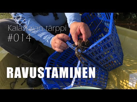 Video: Top 5 selkärangattomia vuokrataan makeanveden puhdistamiseen