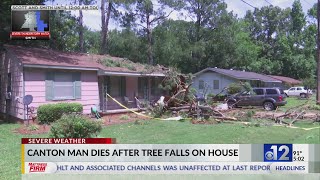 Canton man dies after tree falls on home