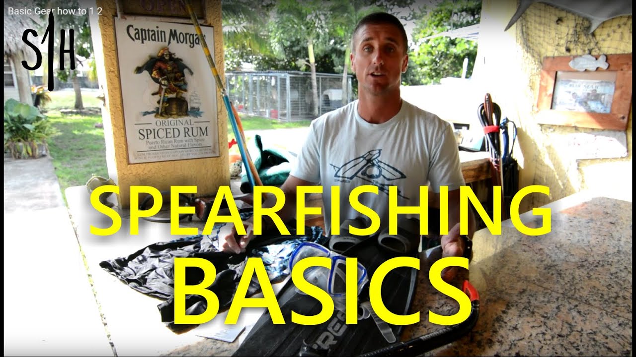 The MINIMUM gear needed to start spearfishing--- HOW-TO