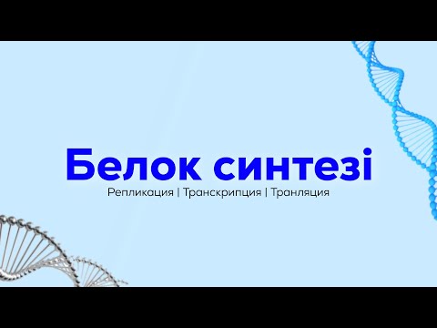 Бейне: Репликация және транскрипция дегеніміз не?