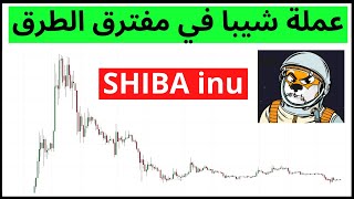 عملة shiba  عملة شيبا في مفترق الطرق هل استثمر فيها الآن؟؟