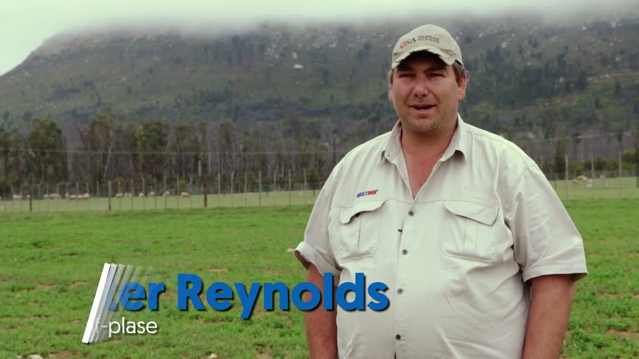 Skaapkudde floreer in Langkloof danksy Multimin