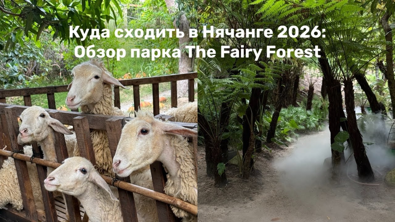 Самый милый бюджетный отдых в Нячанге 2026 | The Fairy Forest 