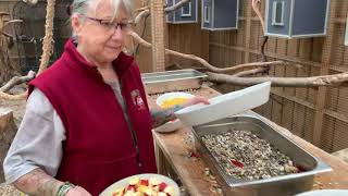 Today I show you our Macaw Aviary