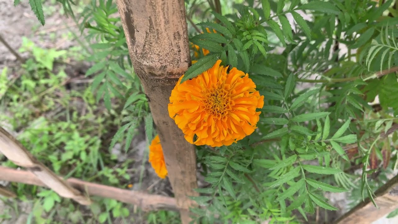 Winter at Eastern University 