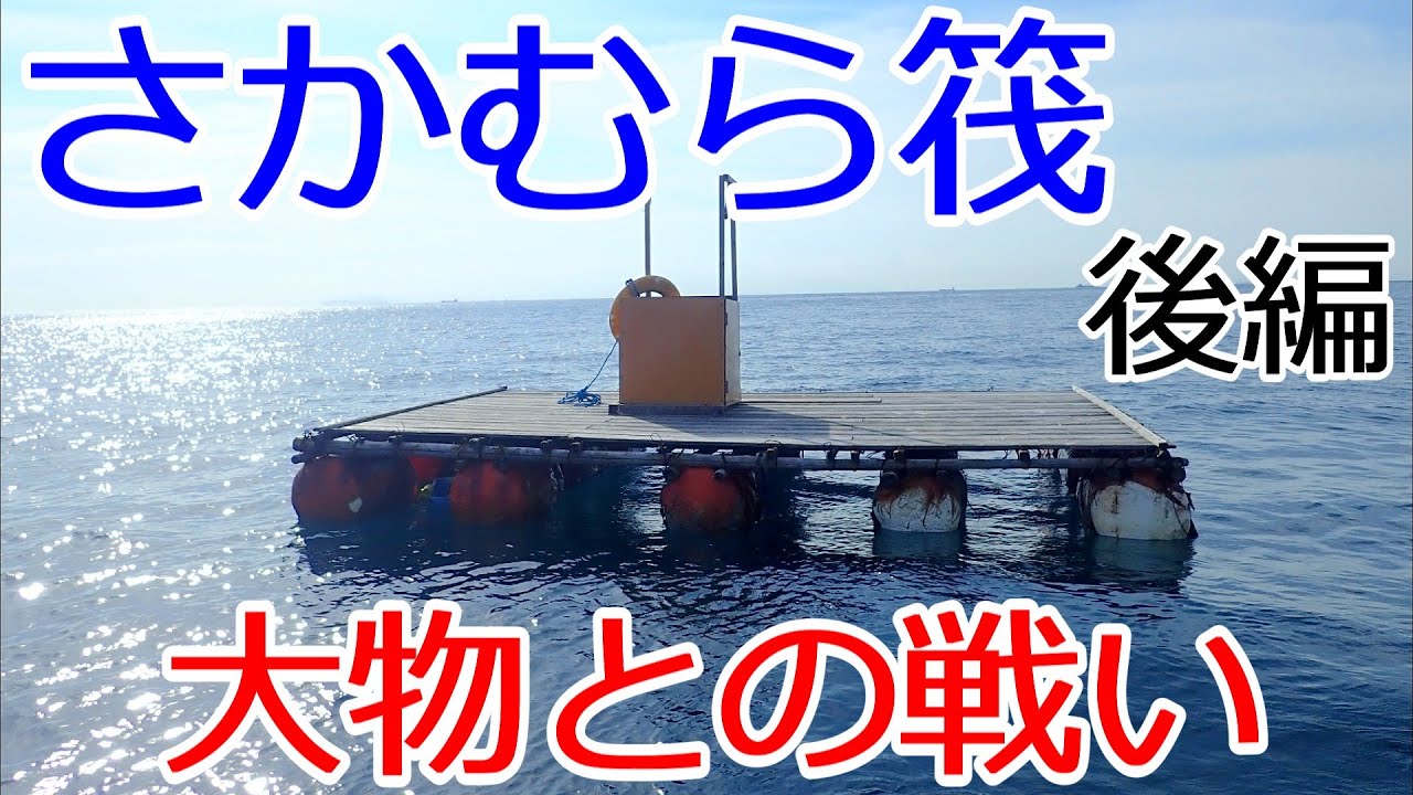 21年 和歌山県 さかむら筏 後編 サビキ釣り カゴ釣り Youtube