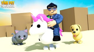 Yeni Pet Simulatore Başlıyoruz!  | Pet Heroes | Roblox Türkçe