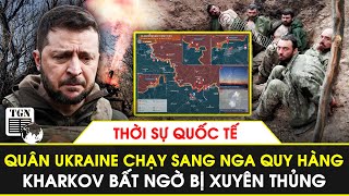 Thời sự quốc tế chiều 11/5 | Kharkov ‘vỡ trận’, quân Ukraine lũ lượt chạy sang Nga quy hàng | TGN