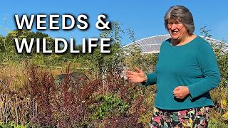 Gardening with Nature | Real life permaculture garden Gardening with Nature | Real life permaculture garden